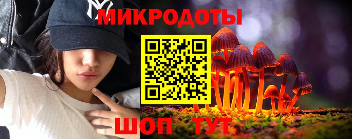 Александров  Псилоцибиновые грибы Magic Shrooms  наркотики  Вход с VPN 